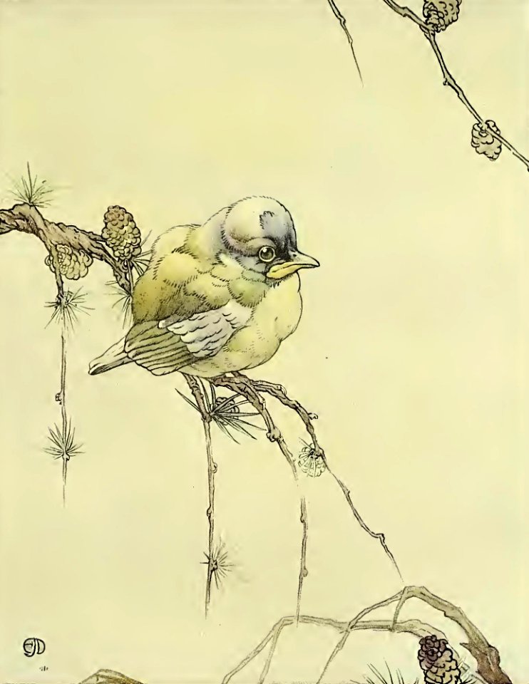The Blue Tit