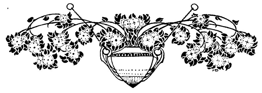 035 B