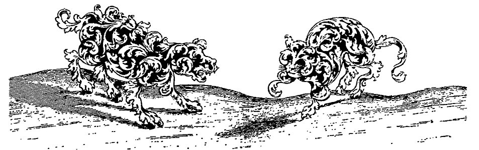 015 B