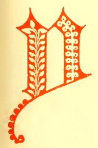 Y
