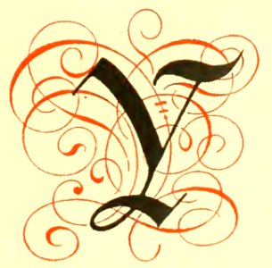 Y