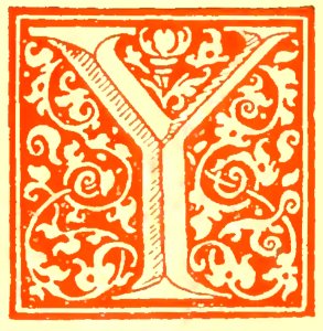 Y