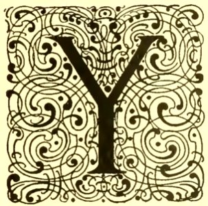 Y