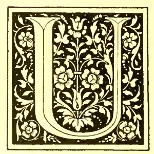 U