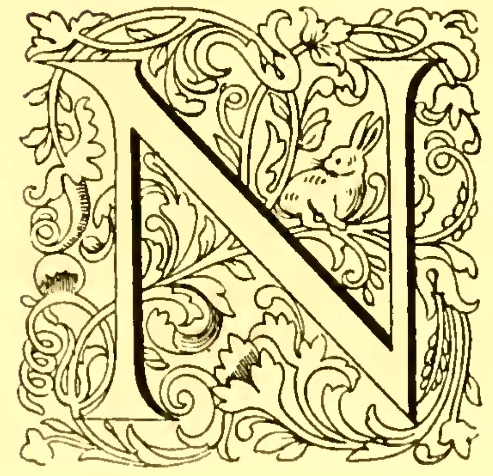 N