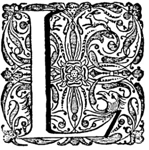 L 009 B