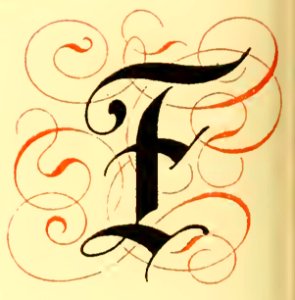 F