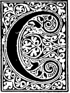 C 027 B