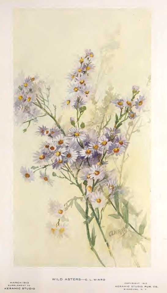 1913 Wild Asters Keramic Studio