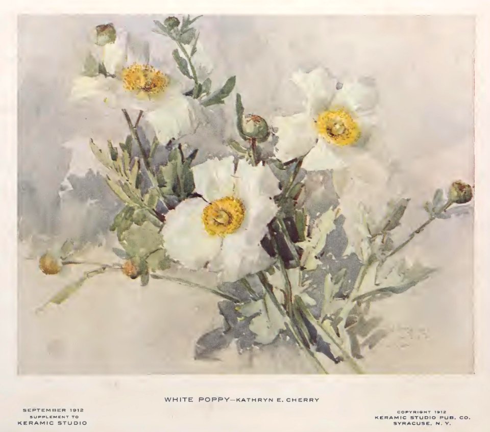 1912 White Poppy Keramic Studio