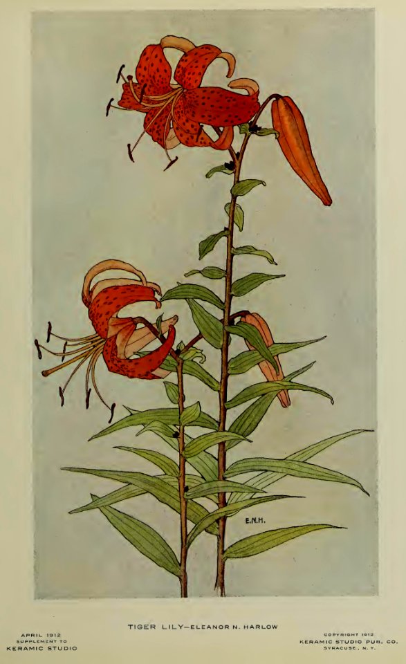 1912 Tiger Lily Keramic Studio