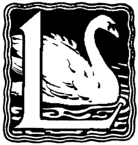 L 017 B