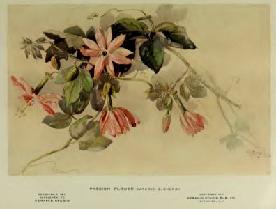 1911 Passion Flower Keramic Studio