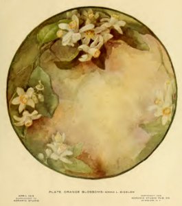 1915 Orange Blossoms Keramic Studio