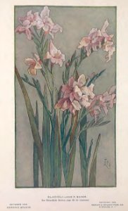 1916 Gladioli Keramic Studio