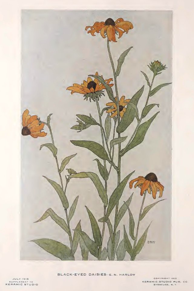 1915 Black-Eyed Daisies Keramic Studio