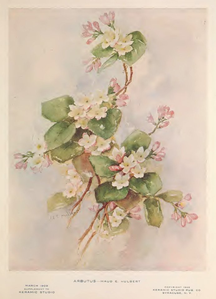 1908 Arbutus Keramic Studio