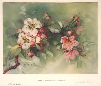 1907 Apple Blossoms Keramic Studio. Free illustration for personal and commercial use.
