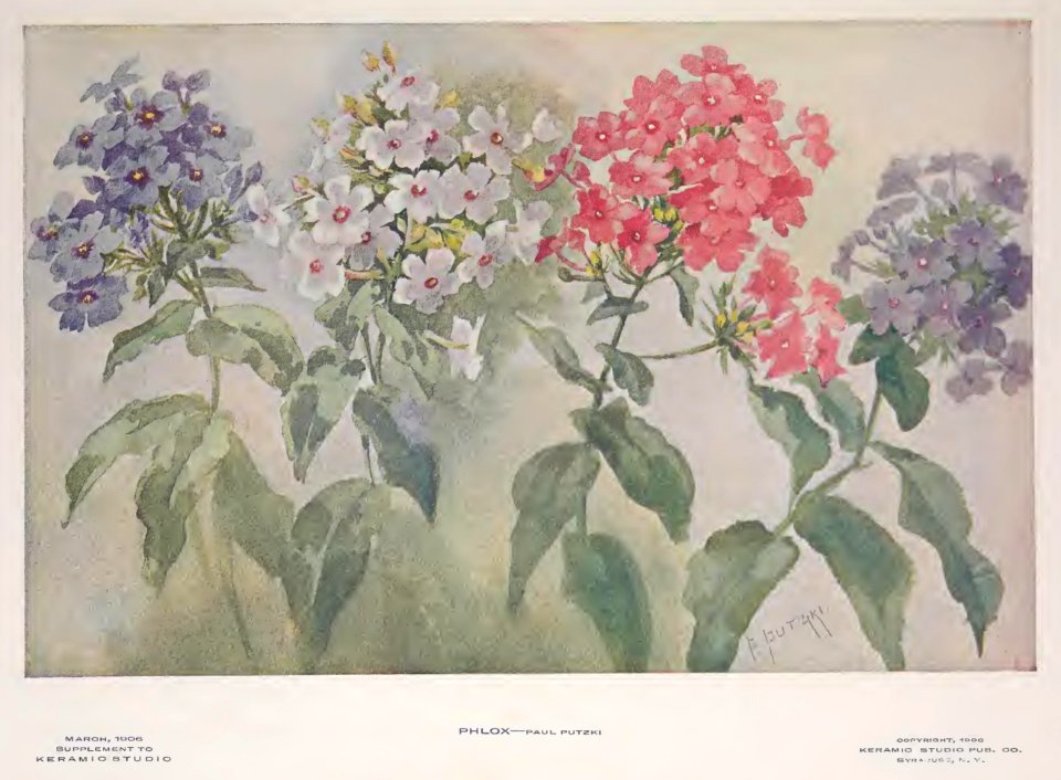 1906 Phlox Keramic Studio