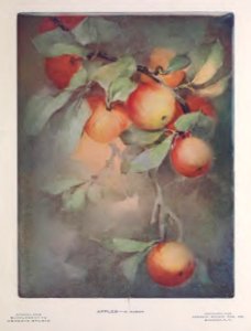 1905 Apples Keramic Studio