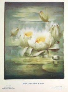 1902 Pond Lilies Keramic Studio