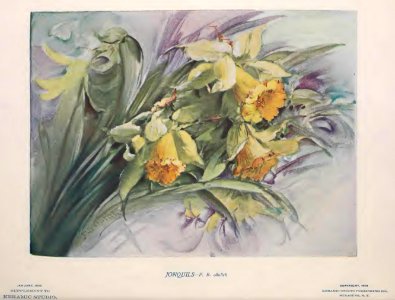 1903 Jonquils Keramic Studio