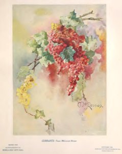 1903 Currants Keramic Studio
