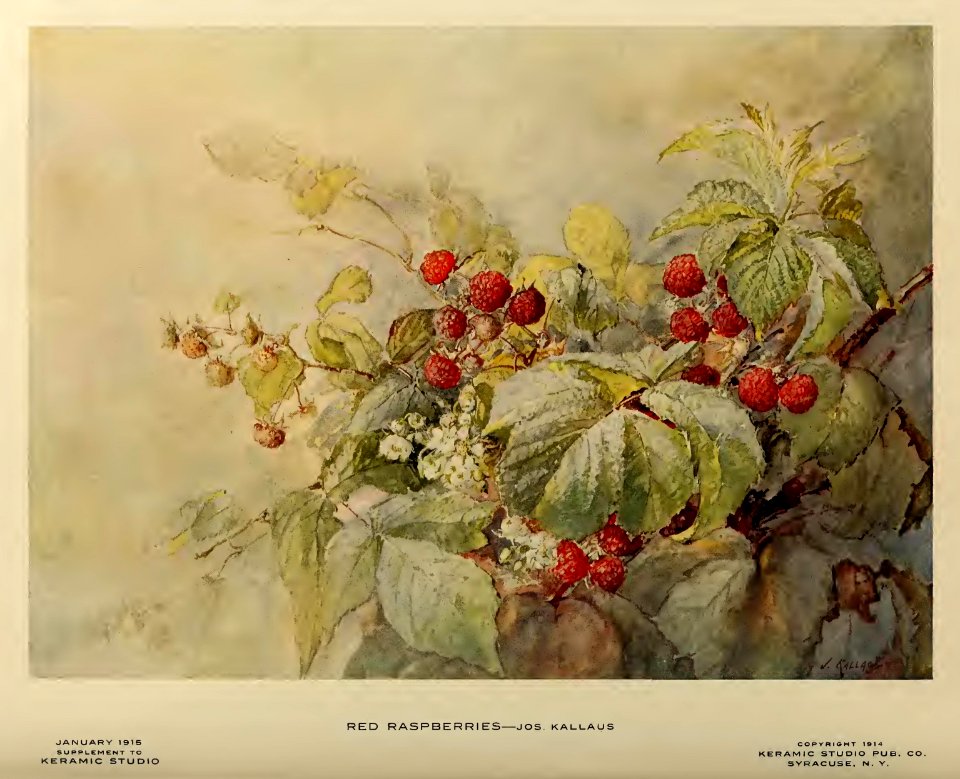 1915 Red Rasberries Keramic Studio