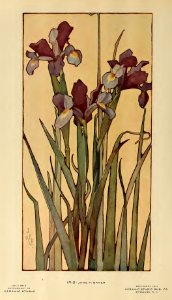 1914 Iris Keramic Studio. Free illustration for personal and commercial use.