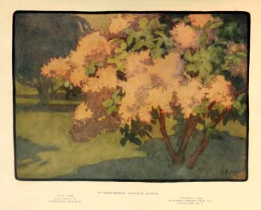 1908 Hydrangea Keramic Studio