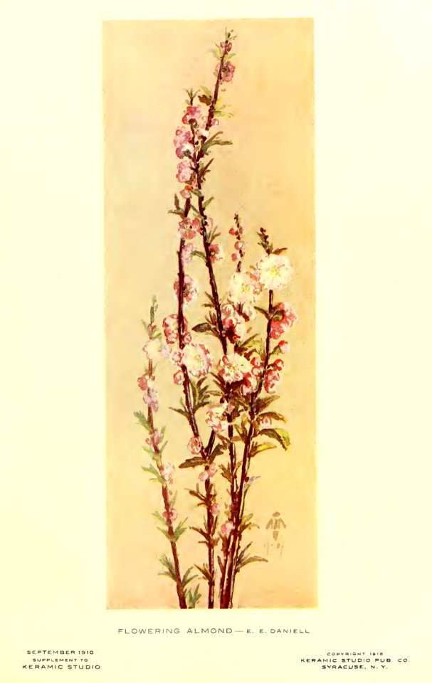 1910 Flowering Almond Keramic Studio