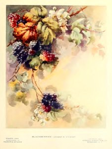1909 Blackberries Keramic Studio
