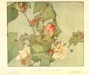 1909 Cotton Plant Keramic Studio Magazine
