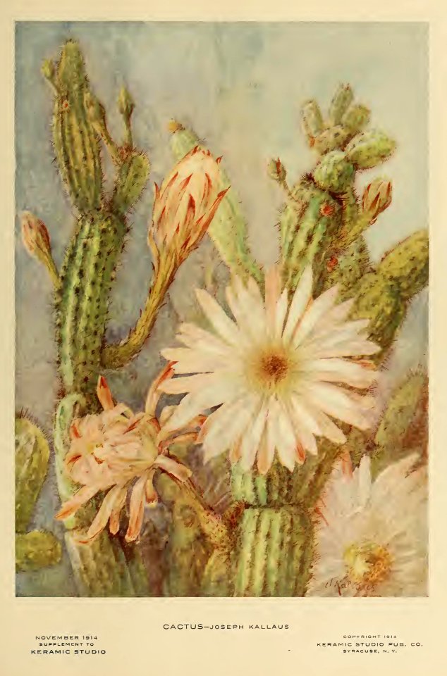 1915 Cactus Blossom Keramic Studio