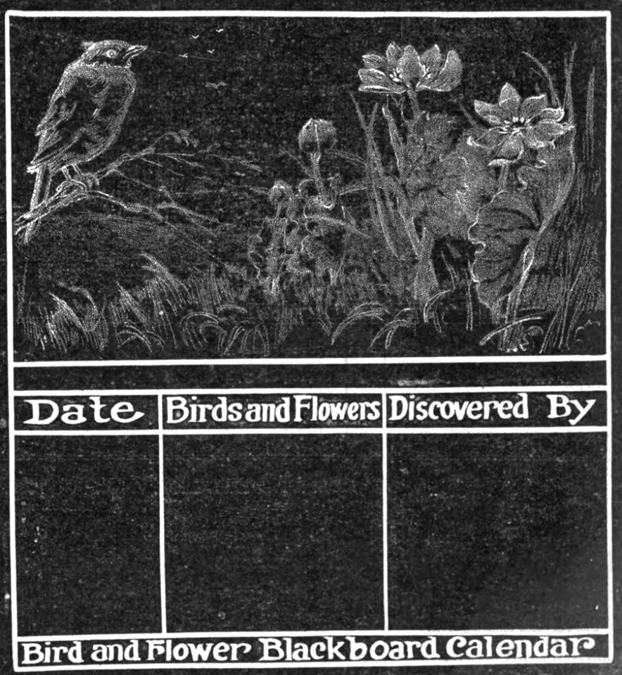 Chalkboard Bird Chart