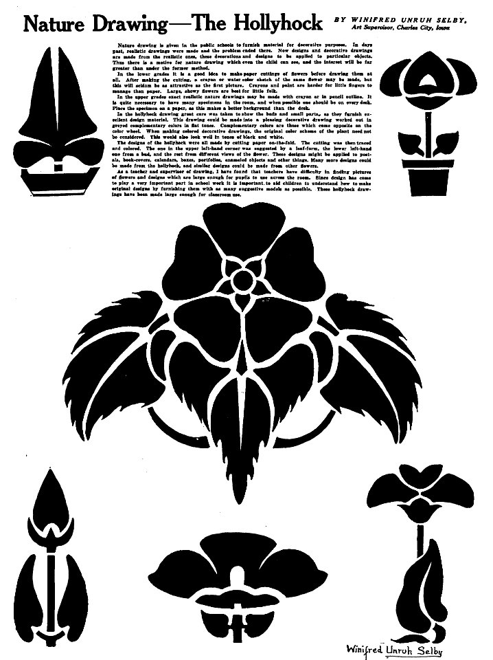 Nature Drawing