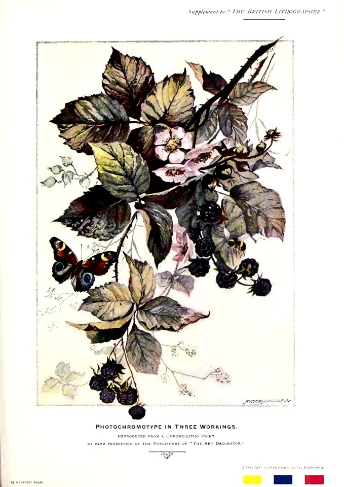 British Lithographer Vol 4 21