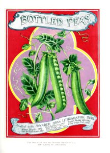 British Lithographer Vol 4 16