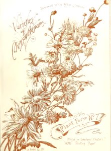 British Lithographer Vol 2 14
