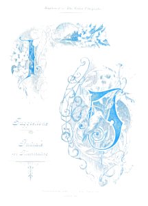 British Lithographer Vol 1 38