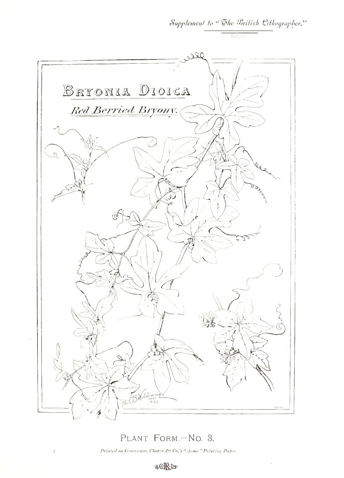 British Lithographer Vol 1 25
