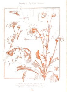 British Lithographer Vol 1 19