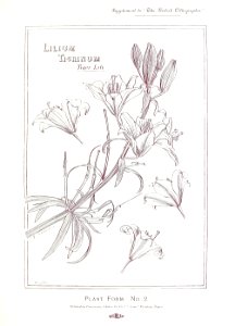 British Lithographer Vol 1 16