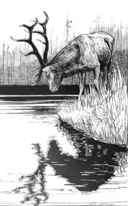 CLB Aesop Illustration 17
