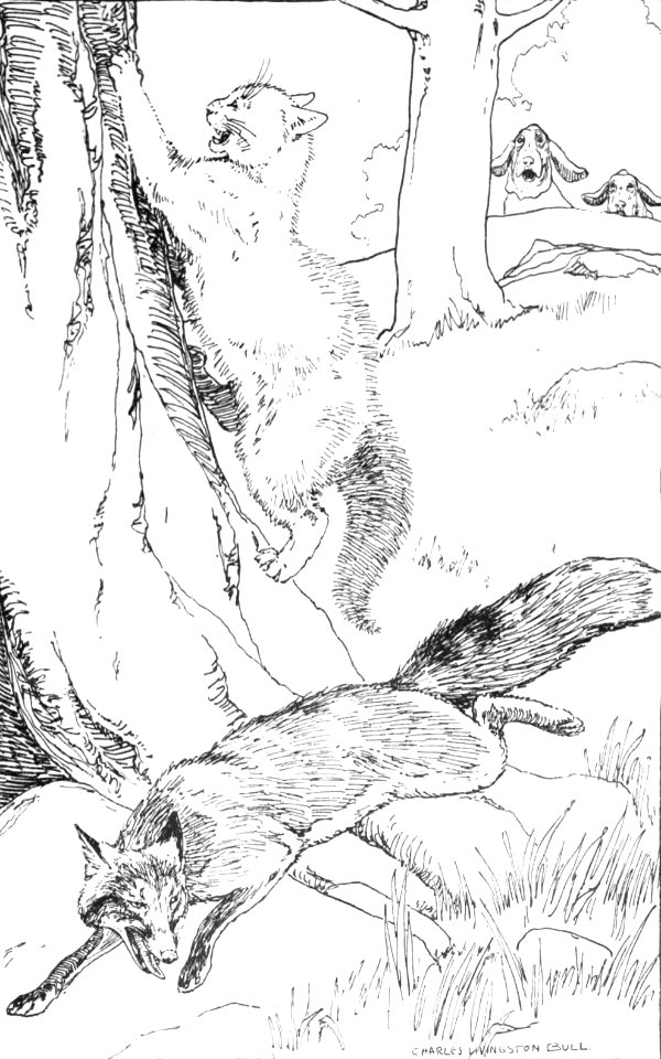 CLB Aesop Illustration 15
