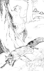 CLB Aesop Illustration 15
