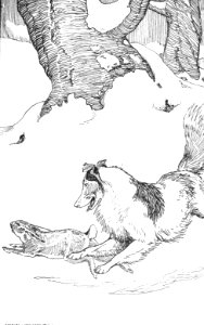 CLB Aesop Illustration 12