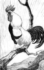 CLB Aesop Illustration 09