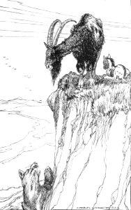 CLB Aesop Illustration 08
