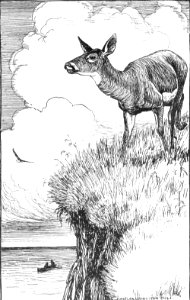 CLB Aesop Illustration 11